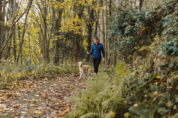 Dog hiking with owner on a mountain trail